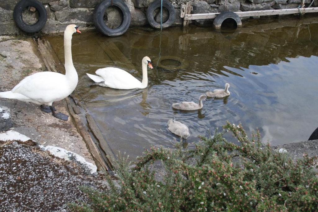 Corrib Wave Guesthouse Oughterard Esterno foto